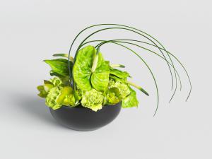 黑色陶瓷花盆盆栽植物