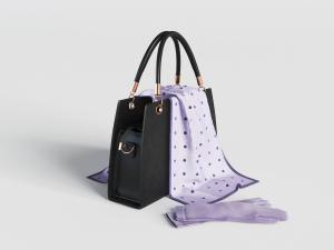 现代黑色皮革手提包、丝巾手套3d模型 现代黑色皮革手提包、丝巾手套