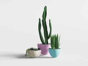 陶瓷尖底盆栽植物