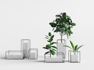 新中式花盆盆栽植物