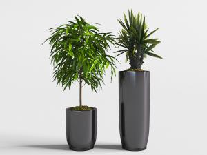 黑色陶瓷圆形花盆绿色盆栽植物