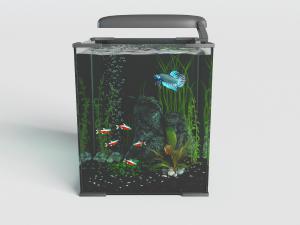 方形带氧气的水族鱼缸