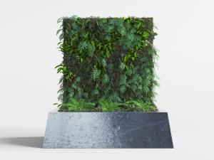 现代花池中的方形植物墙