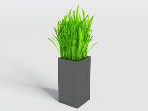 黑色方形花盆里的盆栽植物