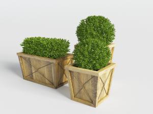 原木花箱绿植
