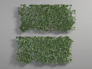 装饰画框绿植墙