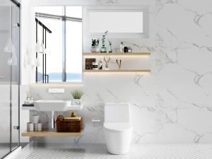 北欧洗手盆马桶坐便器