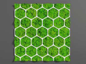 带有网的绿植墙