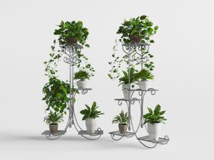 欧式铁艺花架盆栽植物