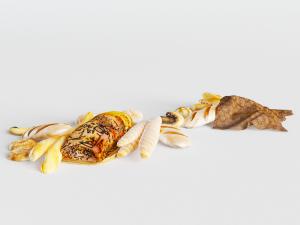 随意摆放的毛毛虫面包食品