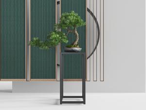 中式黑色花架上的松树盆景