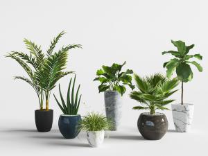 北欧陶瓷花盆观赏盆栽植物