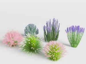 开着紫色花朵的花草植物