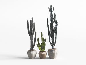 北欧土陶花盆仙人柱盆栽植物