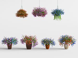 花篮花卉和吊篮植物3d模型 花篮花卉和吊篮植物