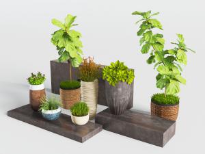 新中式土陶盆栽植物