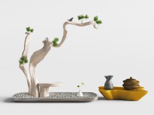 中式松树盆景植物