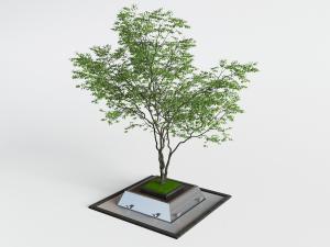 带花坛的景观树木