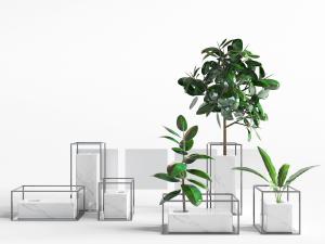 新中式铁艺花盆盆栽植物