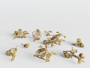 现代零星散落的人体骨骼骨架骷髅