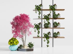现代隔板上的吊篮植物3d模型 现代隔板上的吊篮植物