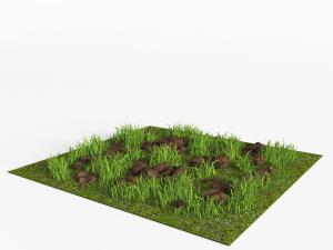 野外植物草地石头草丛