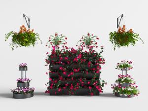 现代台阶花架上的盆栽植物、吊篮植物