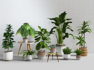 现代北欧水泥土陶花盆盆栽植物