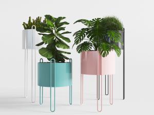 现代金属花盆盆栽植物