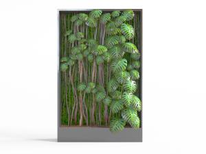 北欧灰色方框里的植物墙