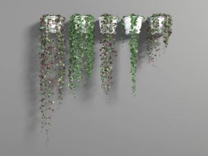 五盆挂在墙面上的吊篮植物3d模型 五盆挂在墙面上的吊篮植物