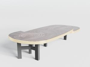 后现代年轮纹理的茶几3d模型 后现代年轮纹理的茶几
