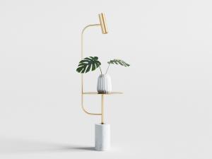 放在落地灯茶几上的盆栽植物