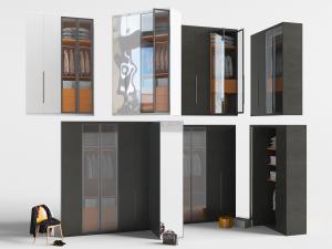 现代黑色装饰透明玻璃柜门的衣柜3d模型 现代黑色装饰透明玻璃柜门的衣柜