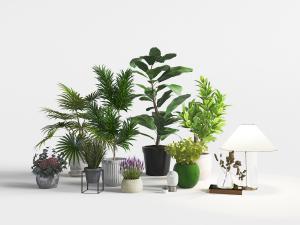 水泥、土陶盆栽植物花卉盆景盆栽