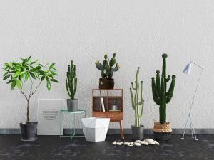 北欧室内盆景盆栽植物