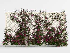 爬满篱笆墙上的藤蔓植物