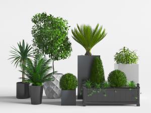 现代黑色陶瓷花盆盆栽植物