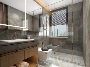 现代轻奢卫浴间卫生间淋浴房