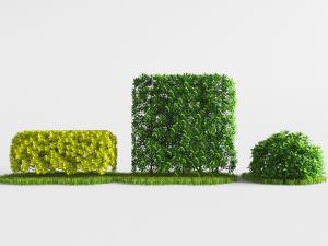 现代灌木植物墙