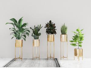 现代轻奢金色花盆盆栽植物