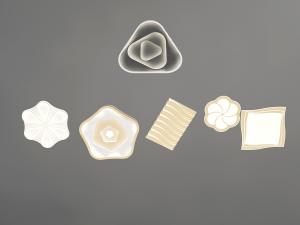 现代花朵吸顶灯3d模型 现代花朵吸顶灯