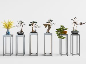 中式花架盆景盆栽