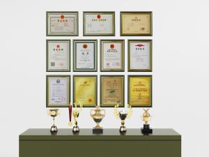 墙面荣誉奖章奖牌奖状