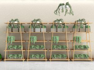 现代实木花架、盆栽植物