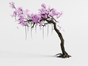 一棵开满花朵的老树