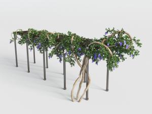 葡萄架藤蔓植物