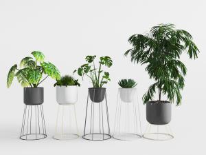 北欧放在金属花架上的盆栽植物