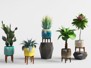 北欧现代花盆盆栽植物