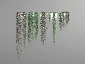 现代盆栽绿色吊篮植物3d模型 现代盆栽绿色吊篮植物